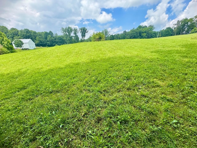 0 Old Mansfield Rd, Mount Vernon, OH 43050 - photo 13