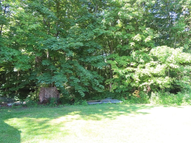 485 Springer Rd, Chillicothe, OH 45601 - view of grassy yard featuring a wooded view