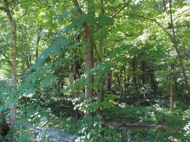 485 Springer Rd, Chillicothe, OH 45601 - view of tree filled area