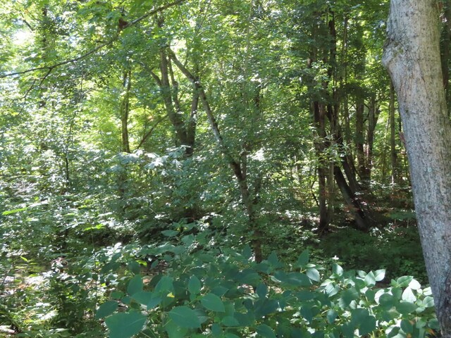 485 Springer Rd, Chillicothe, OH 45601 - view of wooded area