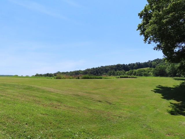 485 Springer Rd, Chillicothe, OH 45601 - view of grassy yard featuring a view of rural / pastoral area