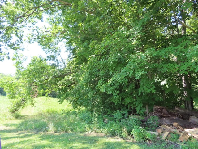 485 Springer Rd, Chillicothe, OH 45601 - view of nature