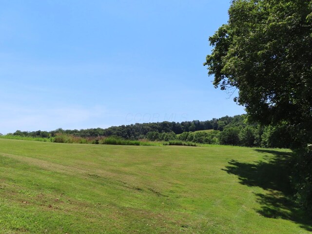 485 Springer Rd, Chillicothe, OH 45601 - view of grassy yard featuring a rural view