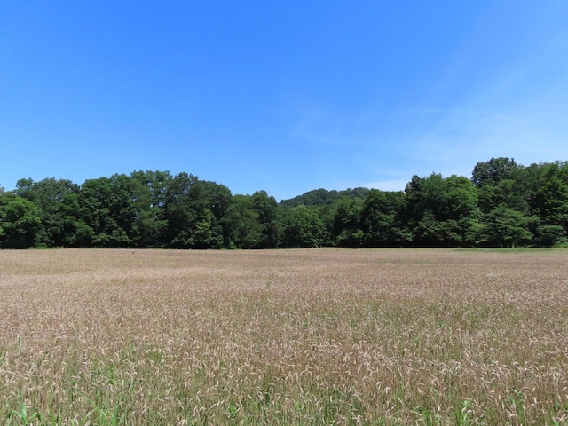 485 Springer Rd, Chillicothe, OH 45601 - view of wooded area
