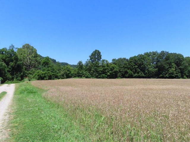 485 Springer Rd, Chillicothe, OH 45601 - view of wooded area