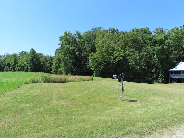 485 Springer Rd, Chillicothe, OH 45601 - view of grassy yard