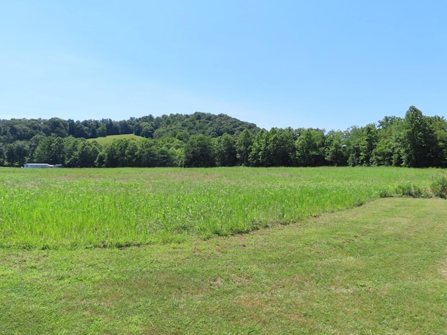 485 Springer Rd, Chillicothe, OH 45601 - view of woods featuring a view of countryside