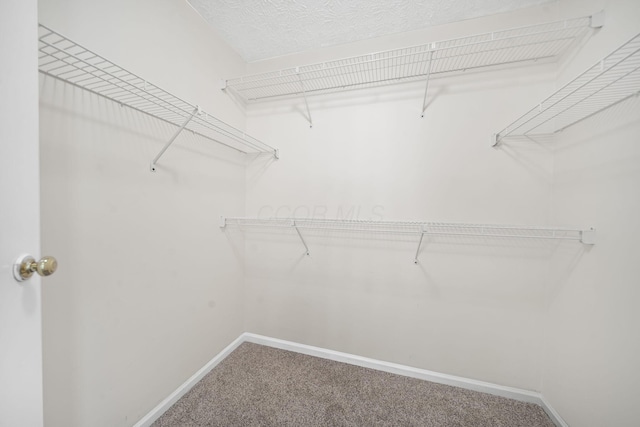 5896 Tara Hill Dr, Dublin, OH 43017 - photo 28