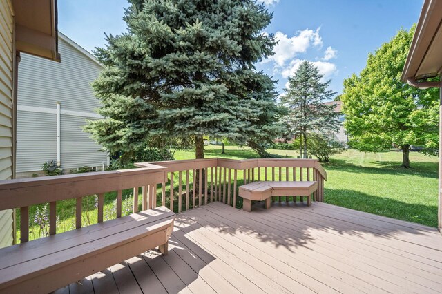 5896 Tara Hill Dr, Dublin, OH 43017 - photo 40