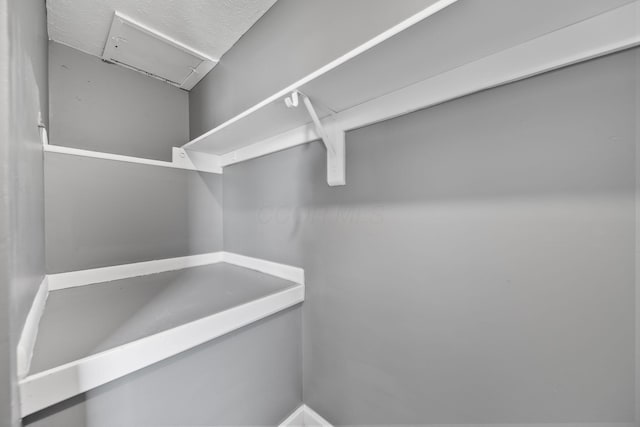 3654 Arnelle Rd, Columbus, OH 43228 - walk in closet featuring attic access