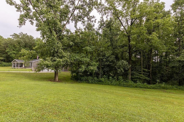 19366 Laurel Run Rd, Nelsonville, OH 45764 - view of grassy yard with a forest view