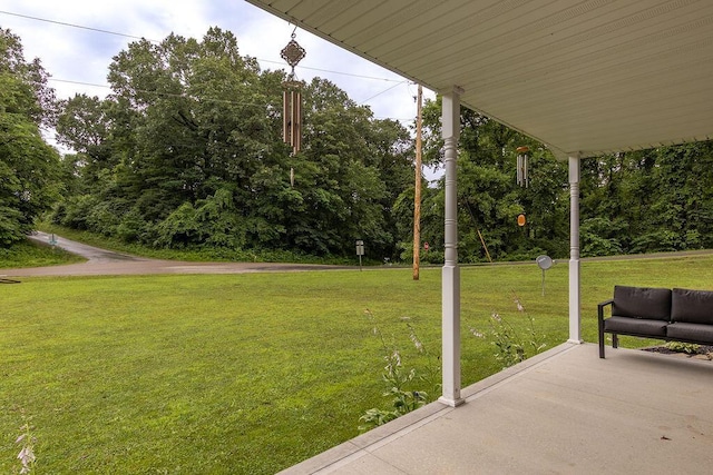 19366 Laurel Run Rd, Nelsonville, OH 45764 - view of green lawn