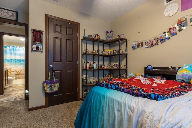 19366 Laurel Run Rd, Nelsonville, OH 45764 - bedroom featuring carpet floors and a textured ceiling