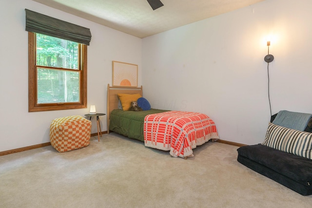 446 Llanberis Dr, Granville, OH 43023 - photo 57