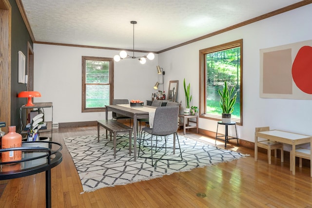 446 Llanberis Dr, Granville, OH 43023 - photo 24