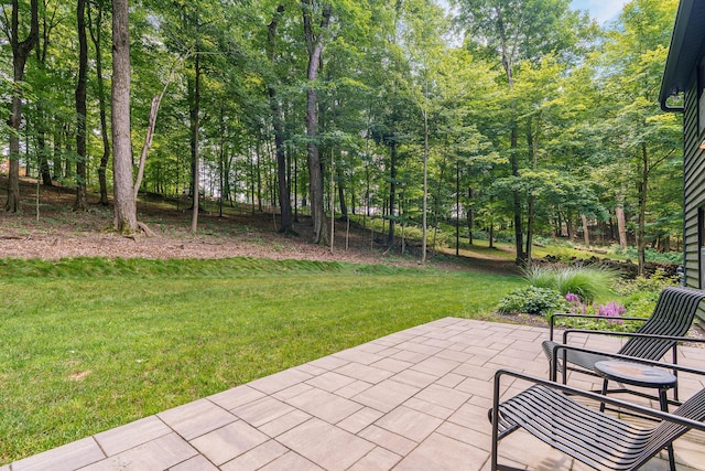 446 Llanberis Dr, Granville, OH 43023 - photo 13