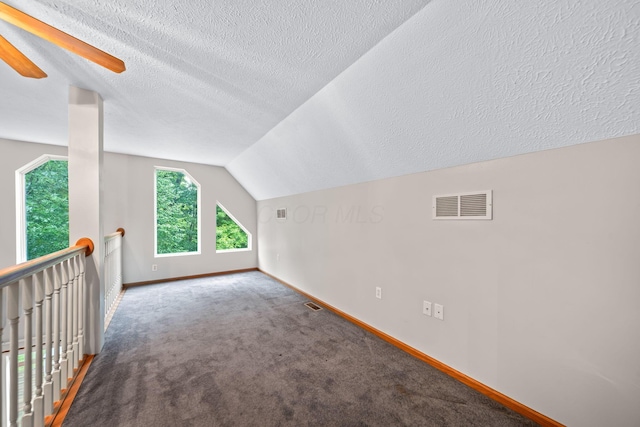 3857 US Highway 23, Chillicothe, OH 45601 - bonus room featuring a textured ceiling, carpet, and vaulted ceiling