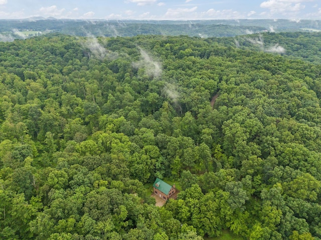 3857 US Highway 23, Chillicothe, OH 45601 - bird's eye view of a heavily wooded area