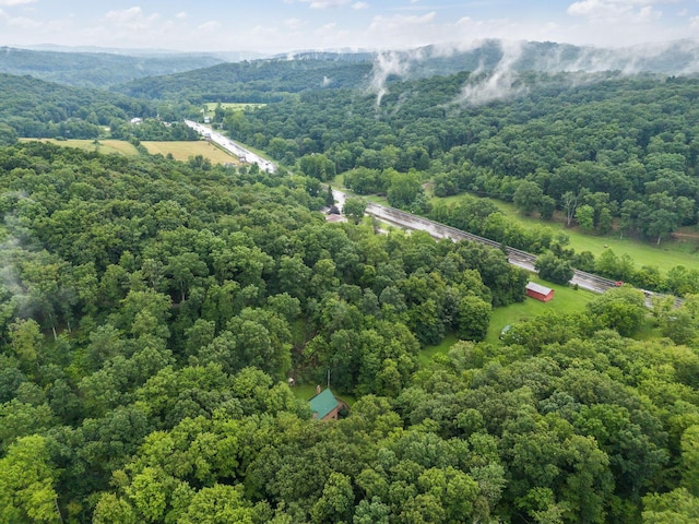 3857 US Highway 23, Chillicothe, OH 45601 - drone / aerial view of a forest