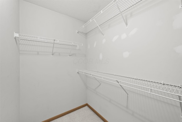 3734 Gibbstone Dr, Columbus, OH 43204 - walk in closet with carpet flooring