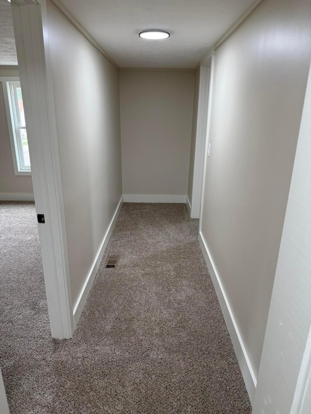 7325 W Main St, South Solon, OH 43153 - photo 24
