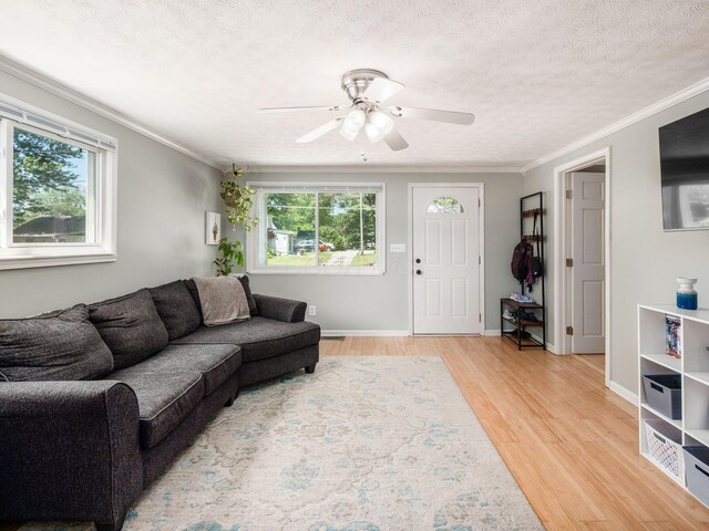 58 Wilder St, Delaware, OH 43015 - photo 7