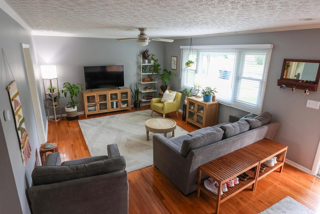 5081 Mengel Ln, Hilliard, OH 43026 - living area featuring ornamental molding, wood finished floors, a ceiling fan, and a textured ceiling