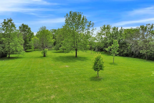 3171 Orders Rd, Grove City, OH 43123 - photo 75