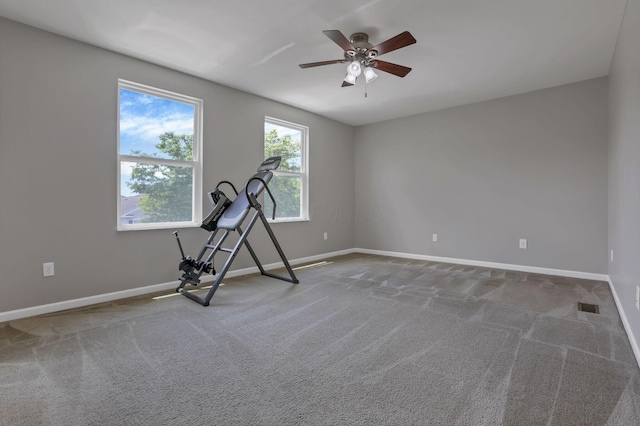 5512 Old Coble St, Canal Winchester, OH 43110 - exercise room with carpet floors and a ceiling fan