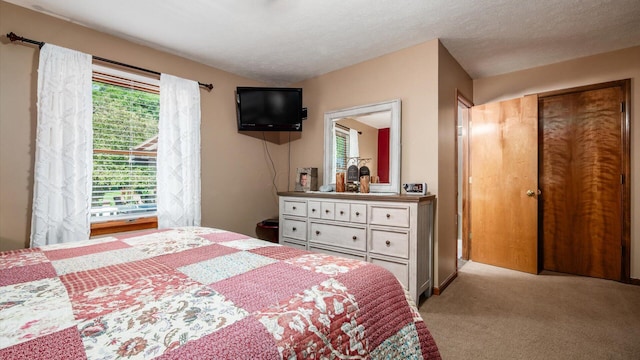 405 Meadowland Dr, Newark, OH 43055 - bedroom with light carpet