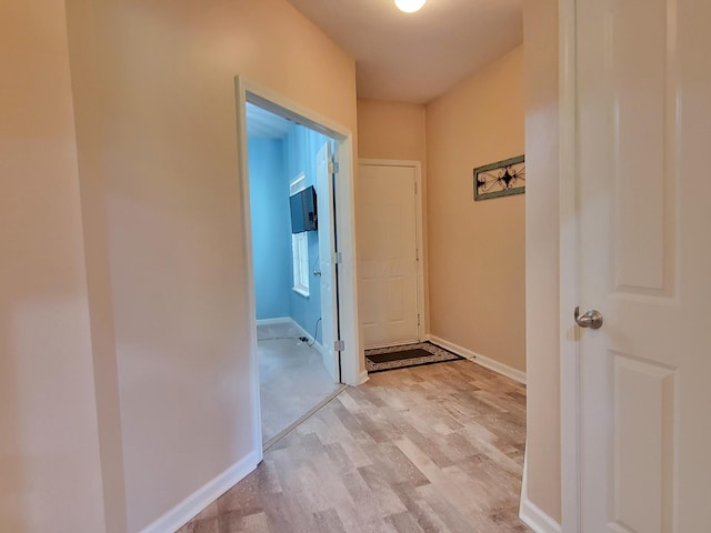 3555 Evelynton Ave, Lewis Center, OH 43035 - photo 6