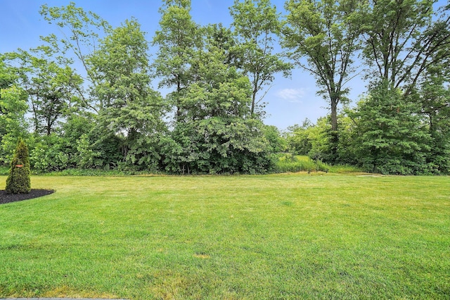 11464 Canby Ct, Plain City, OH 43064 - photo 37