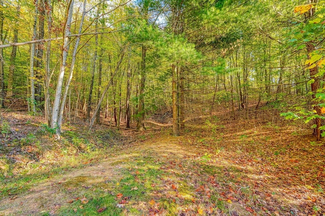 368 Mingo Rd, Chillicothe, OH 45601 - view of tree filled area