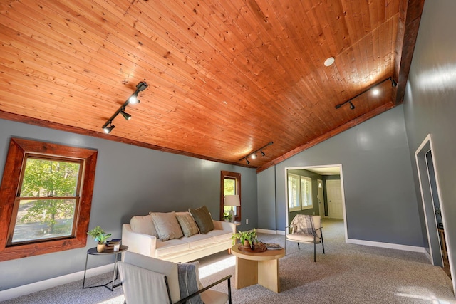 368 Mingo Rd, Chillicothe, OH 45601 - living area featuring track lighting, wood ceiling, carpet, healthy amount of natural light, and vaulted ceiling