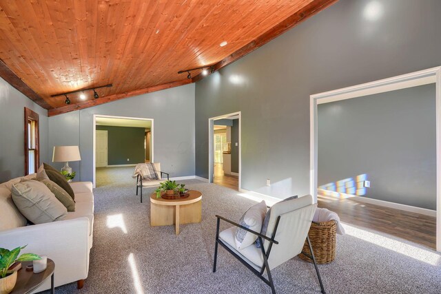 368 Mingo Rd, Chillicothe, OH 45601 - living area with wood ceiling, vaulted ceiling, carpet floors, and rail lighting