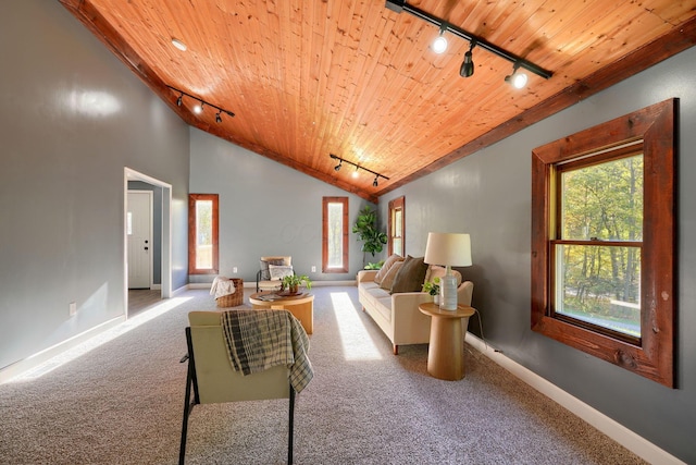 368 Mingo Rd, Chillicothe, OH 45601 - living room featuring track lighting, wood ceiling, carpet flooring, and vaulted ceiling