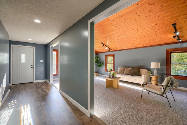 368 Mingo Rd, Chillicothe, OH 45601 - foyer entrance featuring plenty of natural light, rail lighting, wood finished floors, recessed lighting, and vaulted ceiling