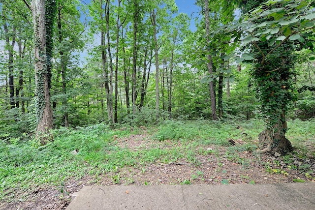 1142 Rozelle Creek Rd, Chillicothe, OH 45601 - view of nature