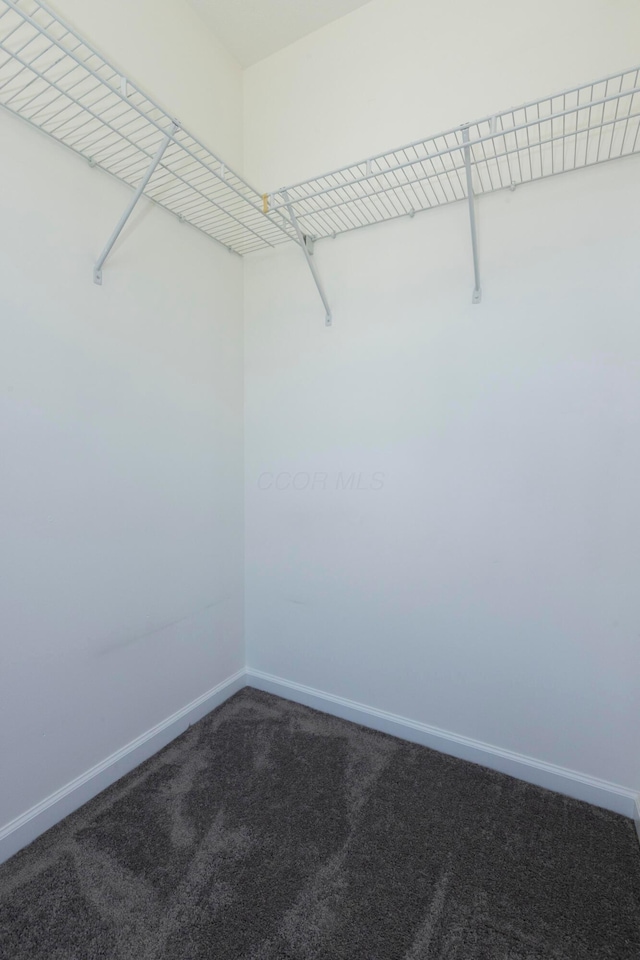 7145 Billy Goat Dr, New Albany, OH 43054 - spacious closet featuring carpet