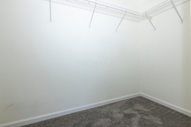 7145 Billy Goat Dr, New Albany, OH 43054 - walk in closet with dark colored carpet