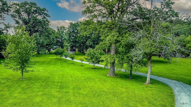 2475 State Route 56 NW, London, OH 43140 - photo 64