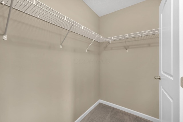 5835 Sebring Dr, Westerville, OH 43081 - photo 26