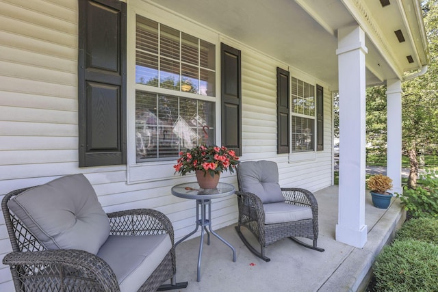 6041 Tetlin Field Dr, New Albany, OH 43054 - view of porch