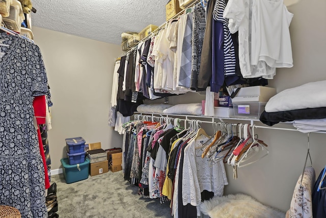 6041 Tetlin Field Dr, New Albany, OH 43054 - walk in closet featuring carpet