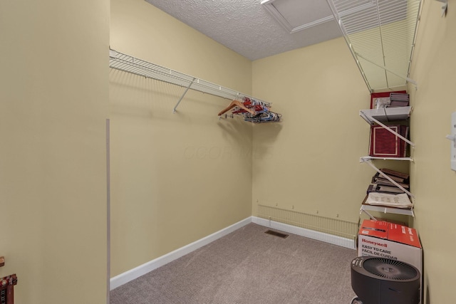 6041 Tetlin Field Dr, New Albany, OH 43054 - walk in closet with attic access and carpet