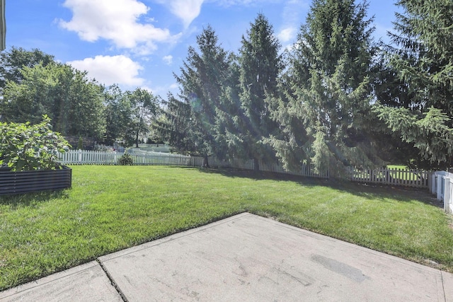 6041 Tetlin Field Dr, New Albany, OH 43054 - fenced backyard with a patio area