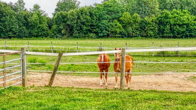 3910 Summit View Rd, Dublin, OH 43016 - gate with a rural view