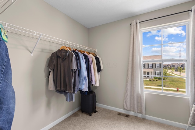 6750 Constitution Way, Powell, OH 43065 - walk in closet with carpet flooring