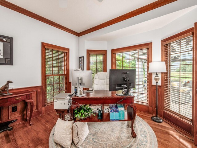 6676 Ballantrae Pl, Dublin, OH 43016 - office with wood finished floors, a wainscoted wall, and crown molding