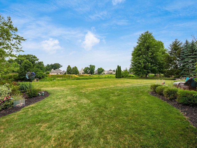 6676 Ballantrae Pl, Dublin, OH 43016 - view of grassy yard